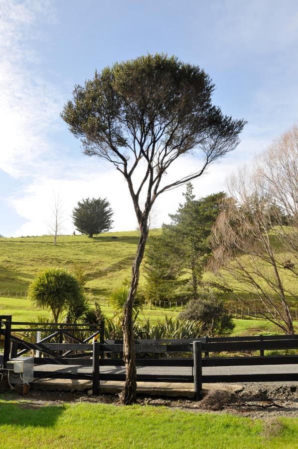 Matapouri & Tutukaka Spectacular Coastal Views- Aroha Luxury Guest Suite Экстерьер фото